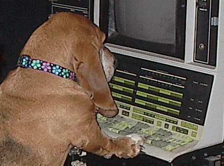 A PDP-12 console being scrutinized by Goldiehound the basset.