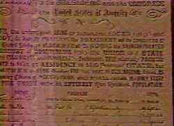 (photo of the Moosylvania petition)