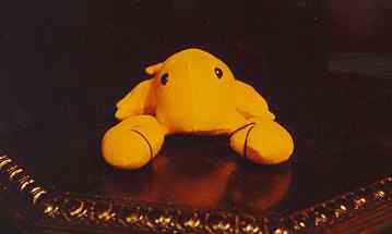 (Photo of Spongie the stuffed lobster)