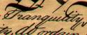 (Detail of
actual Constitution)